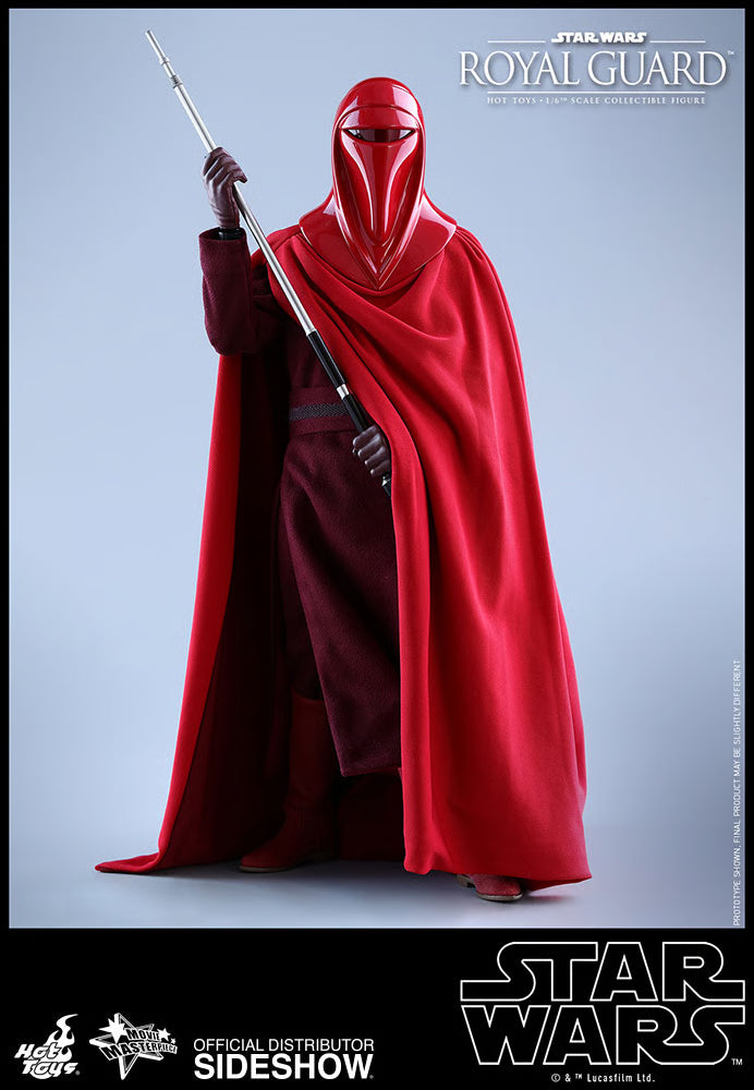 HOT TOYS - Star Wars VI Royal Guard MMS469