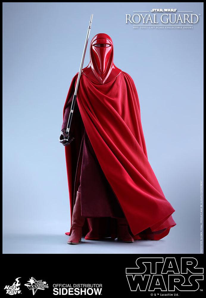 HOT TOYS - Star Wars VI Royal Guard MMS469