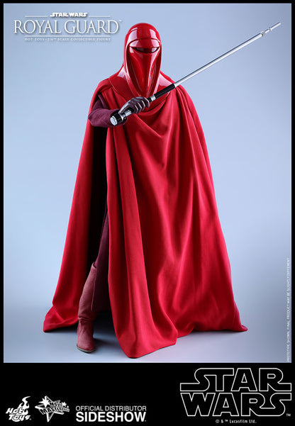 HOT TOYS - Star Wars VI Royal Guard MMS469
