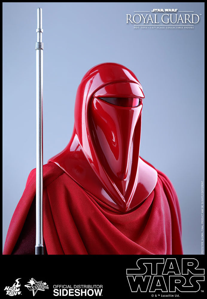 HOT TOYS - Star Wars VI Royal Guard MMS469