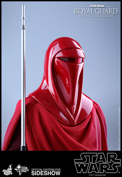 HOT TOYS - Star Wars VI Royal Guard MMS469