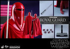 HOT TOYS - Star Wars VI Royal Guard MMS469