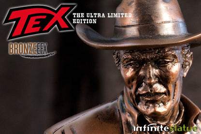 INFINITE STATUE - Tex Bronze EFX Ultra Edition N 48