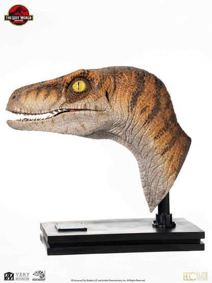 ECC - Jurassic Park Life-Size Bust Male Velociraptor