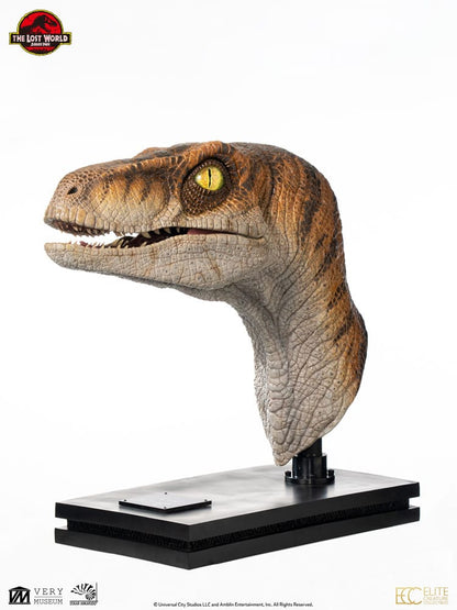 ECC - Jurassic Park Life-Size Bust Male Velociraptor