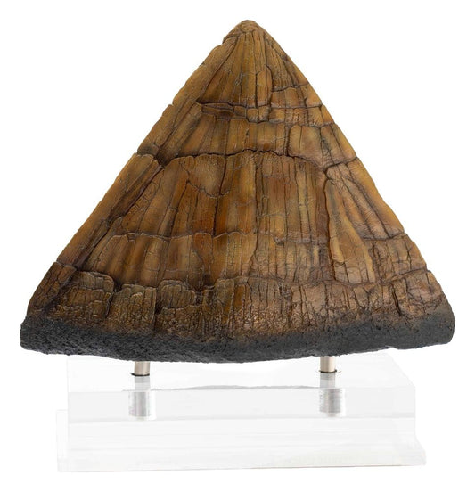 ECC - Jurassic Park Statue Triceratops Spike Prop (Reproduction)