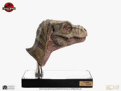 ECC - The Lost World: Jurassic Park Replica Bust 1/1 Junior T-Rex Prop (Reproduction)