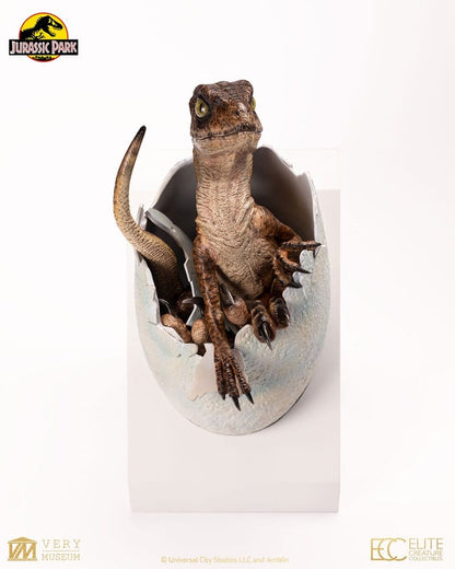 ECC - Jurassic Park Replica Bust Velociraptor Hatching Egg