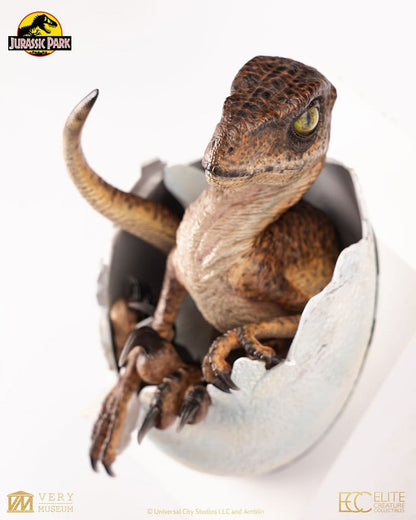 ECC - Jurassic Park Replica Bust Velociraptor Hatching Egg