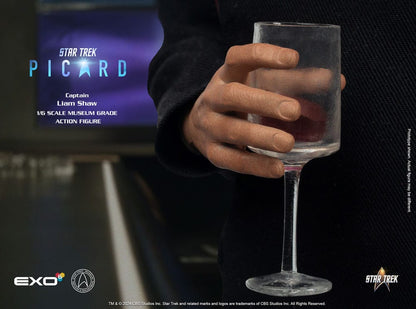 EXO 6 - Star Trek: Picard Action Figure 1/6 Captain Liam Shaw  EXO-02-085