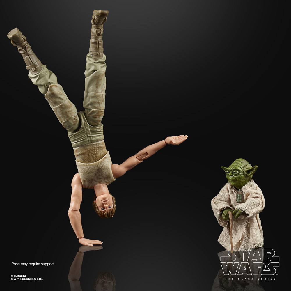 HASBRO - Star Wars Episode V Black Series Action Figure 2 Pack 2020 Luke Skywalker and Yoda (Jedi Training)