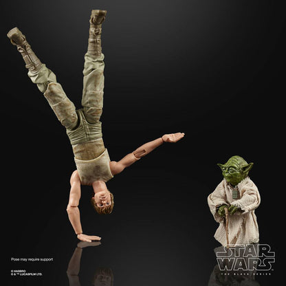 HASBRO - Star Wars Episode V Black Series Action Figure 2 Pack 2020 Luke Skywalker and Yoda (Jedi Training)