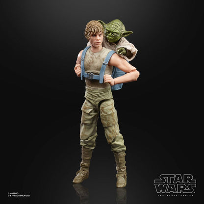 HASBRO - Star Wars Episode V Black Series Action Figure 2 Pack 2020 Luke Skywalker and Yoda (Jedi Training)