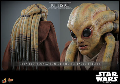 HOT TOYS - Star Wars Movie Masterpiece Action Figure 1/6 Kit Fisto