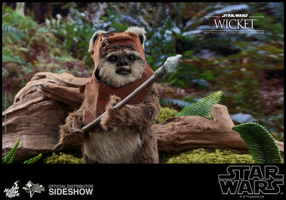 HOT TOYS - Star Wars Episode VI Movie Masterpiece 1:6 Action Doll Wicket 904975