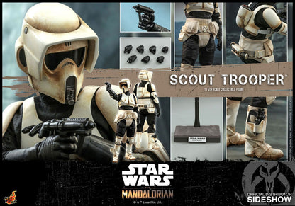 HOT TOYS - Star Wars The Mandalorian Action Figure 1/6 Scout Trooper  TMS016