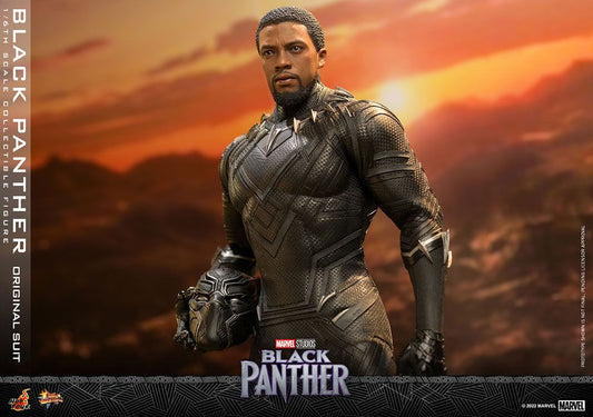 HOT TOYS - Marvel - Black Panther Movie Masterpiece Action Figure 1/6 Black Panther (Original Suit)