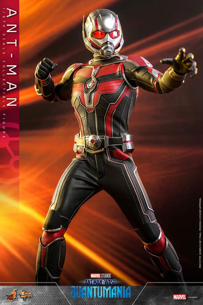HOT TOYS - Ant-Man & The Wasp: Quantumania Movie Masterpiece Action Figure 1/6 Ant-Man  MMS690