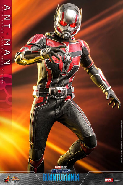 HOT TOYS - Ant-Man & The Wasp: Quantumania Movie Masterpiece Action Figure 1/6 Ant-Man  MMS690