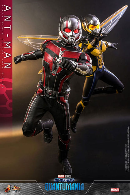 HOT TOYS - Ant-Man & The Wasp: Quantumania Movie Masterpiece Action Figure 1/6 Ant-Man  MMS690