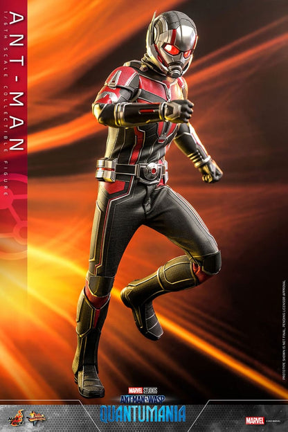 HOT TOYS - Ant-Man & The Wasp: Quantumania Movie Masterpiece Action Figure 1/6 Ant-Man  MMS690