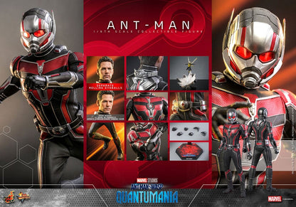 HOT TOYS - Ant-Man & The Wasp: Quantumania Movie Masterpiece Action Figure 1/6 Ant-Man  MMS690
