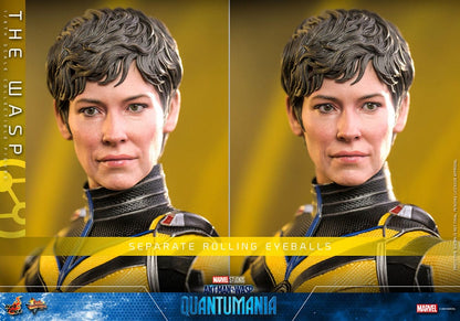HOT TOYS - Ant-Man & The Wasp: Quantumania Movie Masterpiece Action Figure 1/6 The Wasp MMS691