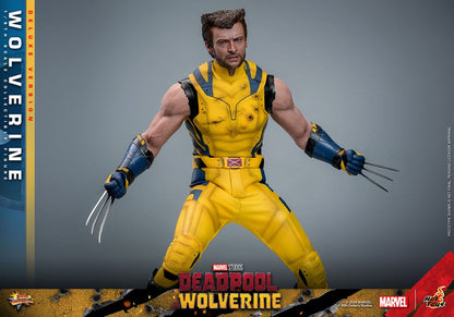 HOT TOYS - Deadpool & Wolverine Movie Masterpiece Action Figure 1/6 Wolverine (Deluxe Version)