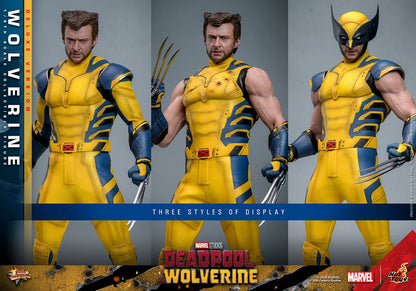 HOT TOYS - Deadpool & Wolverine Movie Masterpiece Action Figure 1/6 Wolverine (Deluxe Version)