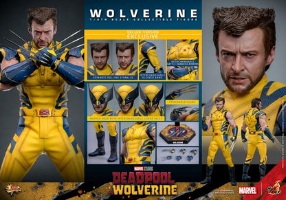 HOT TOYS - Deadpool & Wolverine Movie Masterpiece Action Figure 1/6 Wolverine (Deluxe Version)