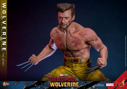 HOT TOYS - Deadpool & Wolverine Movie Masterpiece Action Figure 1/6 Wolverine (TVA Jacket Version)