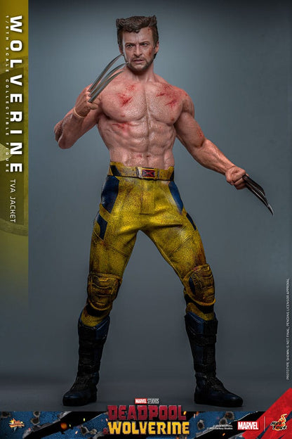 HOT TOYS - Deadpool & Wolverine Movie Masterpiece Action Figure 1/6 Wolverine (TVA Jacket Version)