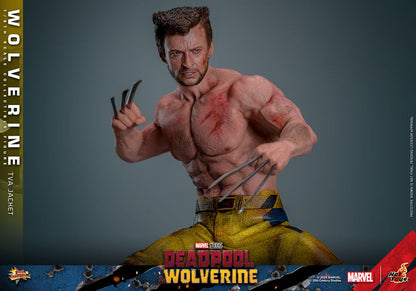 HOT TOYS - Deadpool & Wolverine Movie Masterpiece Action Figure 1/6 Wolverine (TVA Jacket Version)