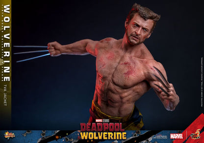 HOT TOYS - Deadpool & Wolverine Movie Masterpiece Action Figure 1/6 Wolverine (TVA Jacket Version)