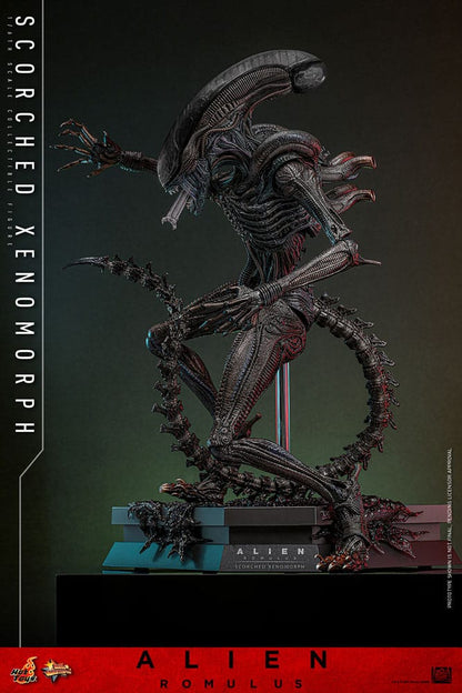 HOT TOYS - Alien: Romulus Movie Masterpiece Action Figure 1/6 Scorched Xenomorph