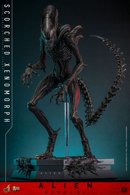 HOT TOYS - Alien: Romulus Movie Masterpiece Action Figure 1/6 Scorched Xenomorph