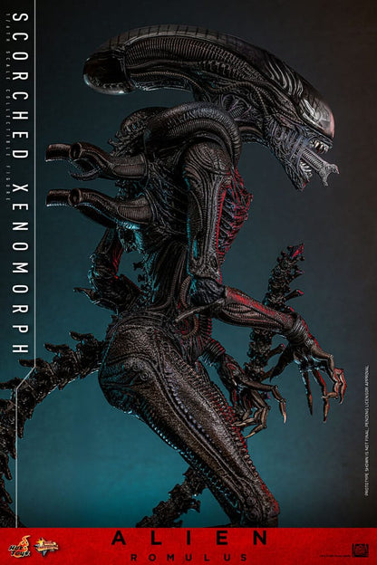 HOT TOYS - Alien: Romulus Movie Masterpiece Action Figure 1/6 Scorched Xenomorph