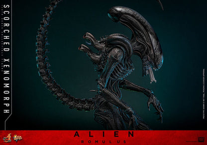 HOT TOYS - Alien: Romulus Movie Masterpiece Action Figure 1/6 Scorched Xenomorph