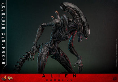 HOT TOYS - Alien: Romulus Movie Masterpiece Action Figure 1/6 Scorched Xenomorph