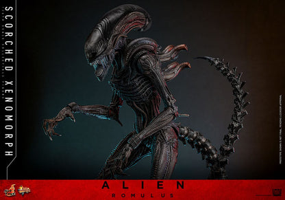 HOT TOYS - Alien: Romulus Movie Masterpiece Action Figure 1/6 Scorched Xenomorph