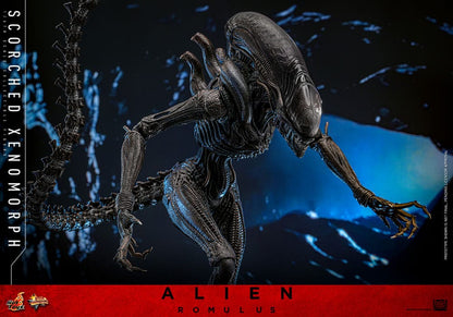 HOT TOYS - Alien: Romulus Movie Masterpiece Action Figure 1/6 Scorched Xenomorph