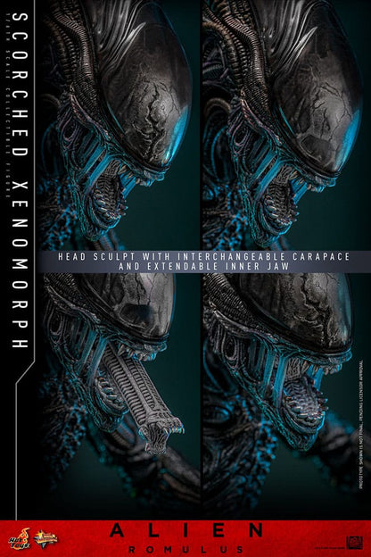 HOT TOYS - Alien: Romulus Movie Masterpiece Action Figure 1/6 Scorched Xenomorph