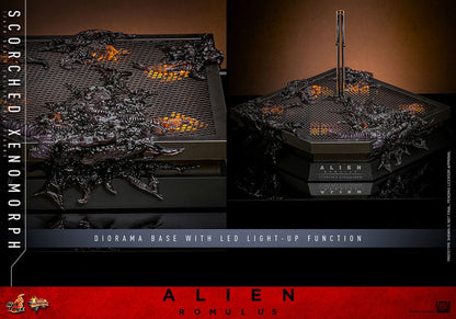 HOT TOYS - Alien: Romulus Movie Masterpiece Action Figure 1/6 Scorched Xenomorph