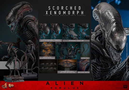 HOT TOYS - Alien: Romulus Movie Masterpiece Action Figure 1/6 Scorched Xenomorph