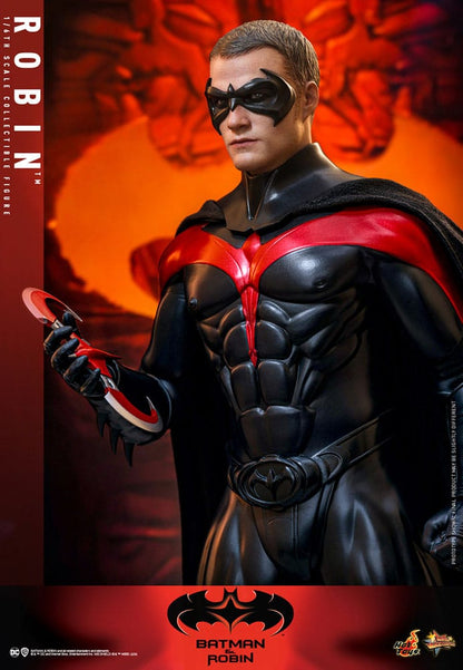 HOT TOYS -  Batman & Robin Movie Masterpiece Action Figure 1/6 Robin MMS787