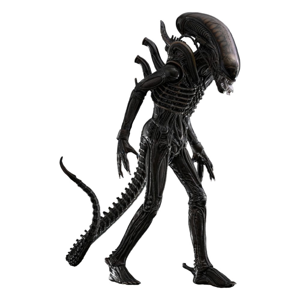 HOT TOYS - Alien Movie Masterpiece Action Figure 1/6 Big Chap