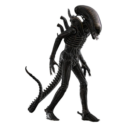 HOT TOYS - Alien Movie Masterpiece Action Figure 1/6 Big Chap