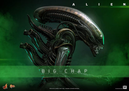 HOT TOYS - Alien Movie Masterpiece Action Figure 1/6 Big Chap