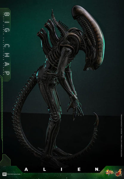 HOT TOYS - Alien Movie Masterpiece Action Figure 1/6 Big Chap