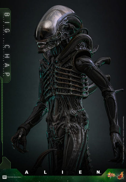 HOT TOYS - Alien Movie Masterpiece Action Figure 1/6 Big Chap